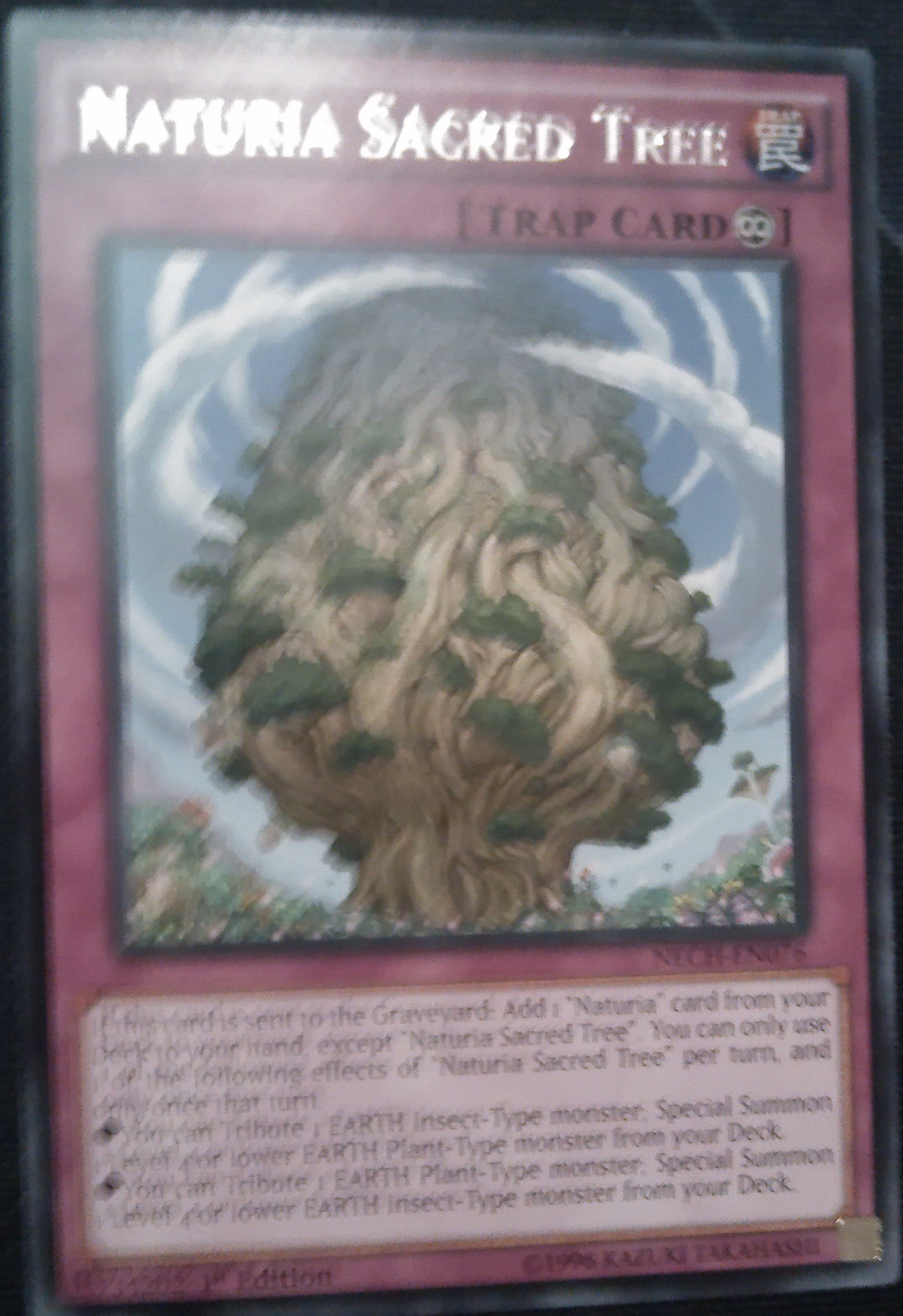 Naturia Sacred Tree NECH-EN076 Yu-Gi-Oh Rare Card U New